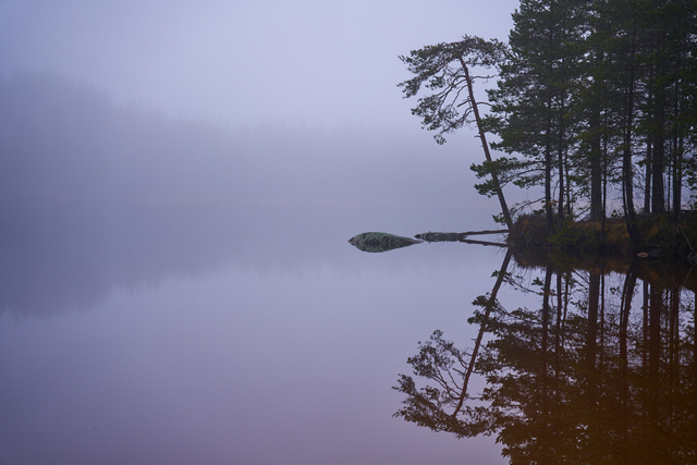 Tamron 28-75mm G2 So_22w.jpg