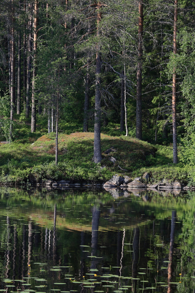 Canon EOS R7_21w.jpg