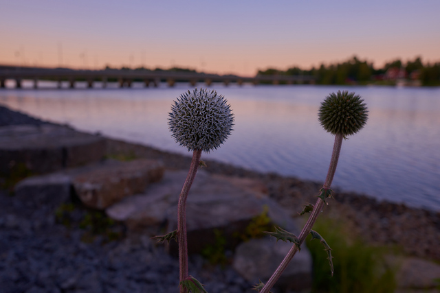 Tamron 11-20mm_10w.jpg