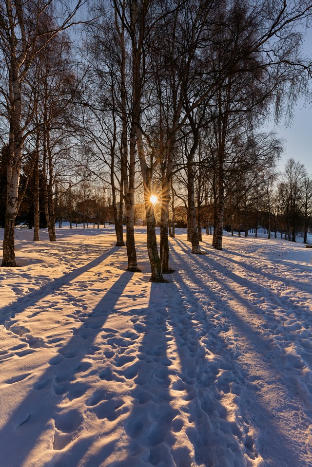 Panasonic 18mm f1.8_22w.jpg