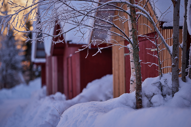 Canon RF 135 f1.8_4w.jpg