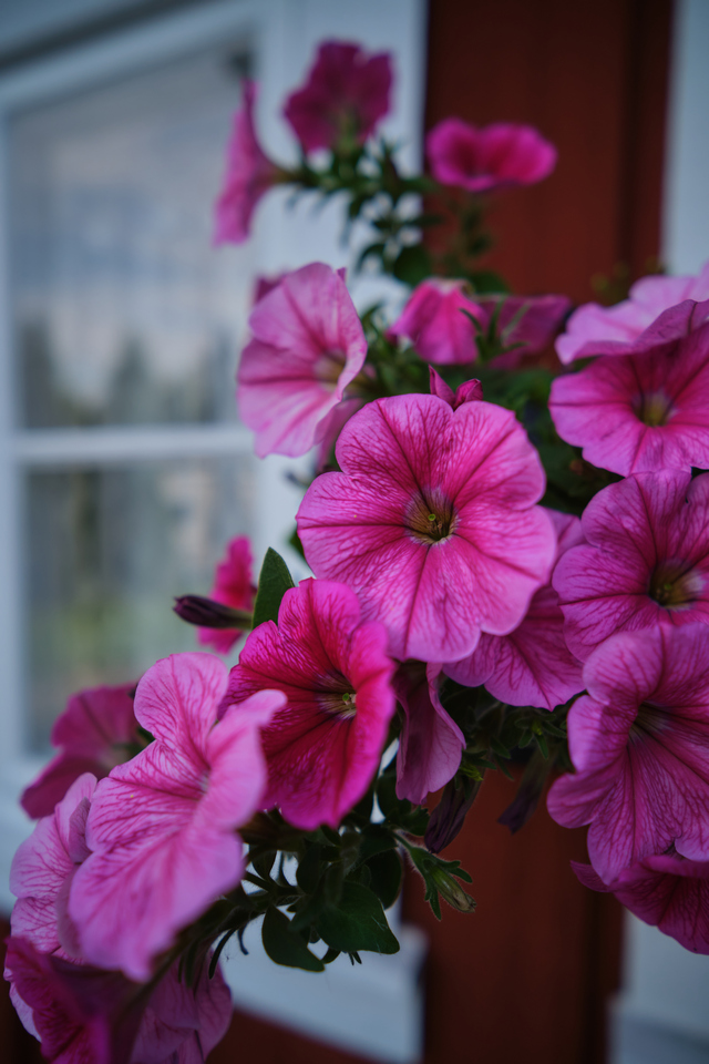 Viltrox 13mm f1.4_10w.jpg