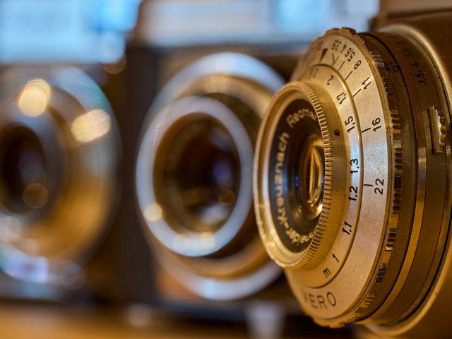 OM System 90mm macro_17w.jpg