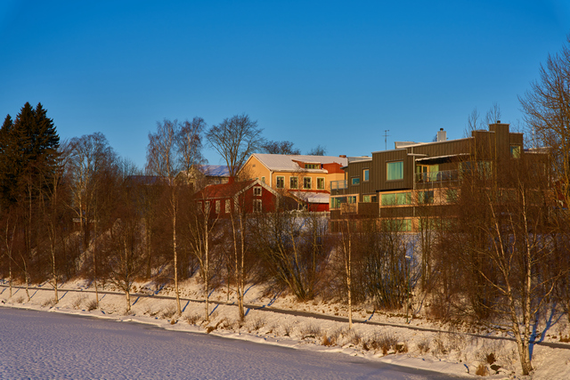 sigma 24-70 art sony_14w.jpg