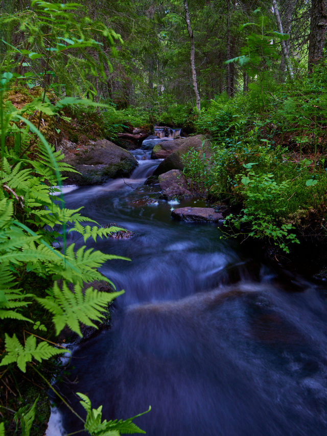 Olympus 8-25mm f4_5w.jpg