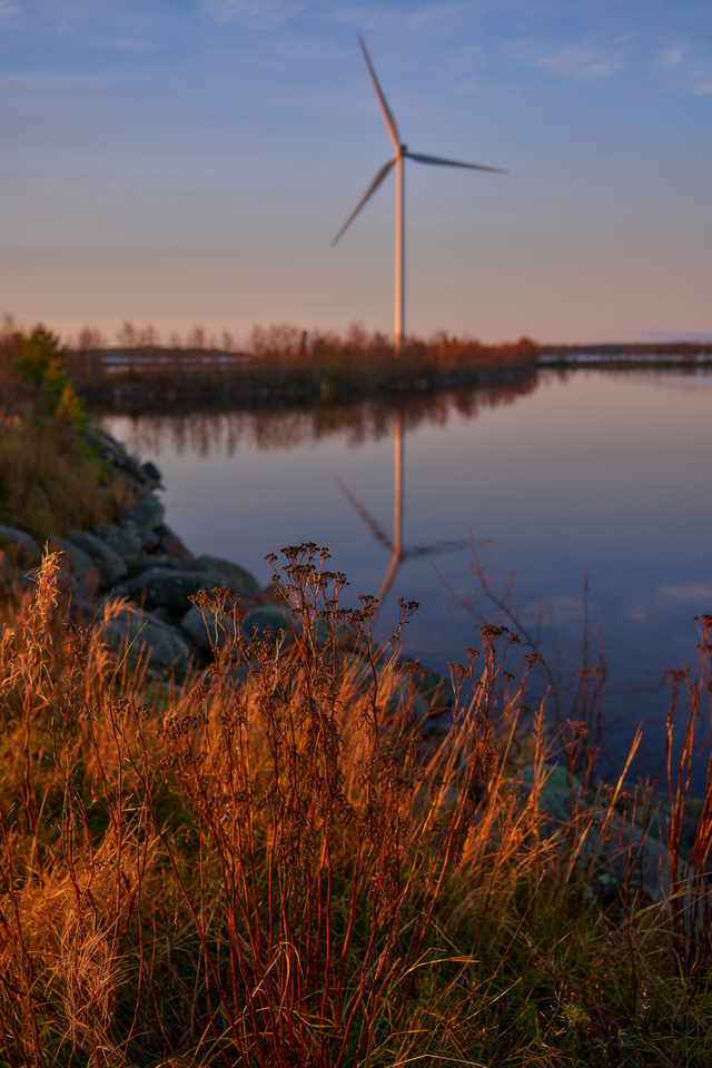 Tamron 28-75mm G2 So_5w.jpg