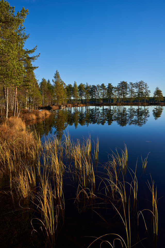 Sigma 24mm f1.4 DN so_15w.jpg