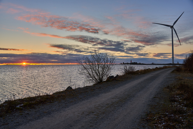 Sigma 18-50 f2.8 Sony_20w.jpg