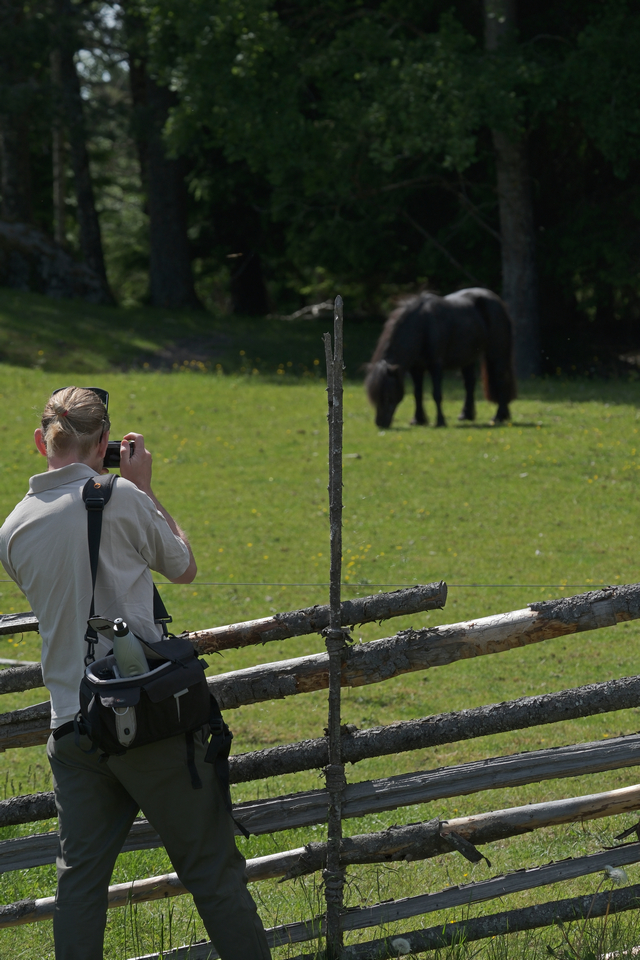 Fujifilm X-H2s_4w.jpg