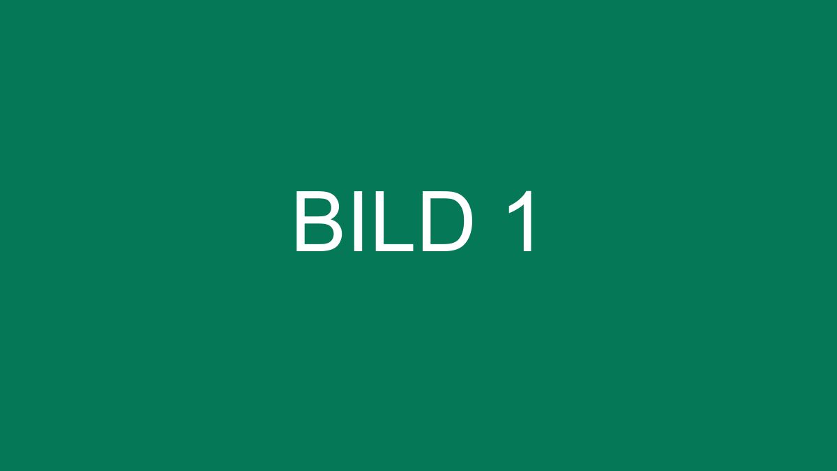 bild 1