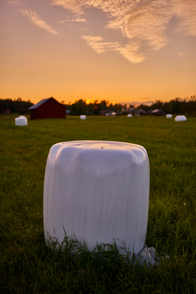 Voigtländer 35mm f2_2w.jpg