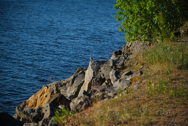 Tamron 17-70 f2.8 XF_10w.jpg