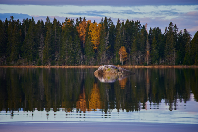 Tamron 70-300 Nikon Z_16w.jpg