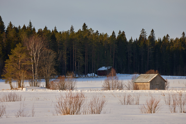 Canon RF 100-400mm_23w.jpg