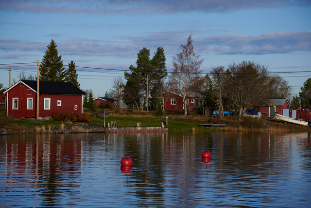 Tamron 70-300 Nikon Z_13w.jpg