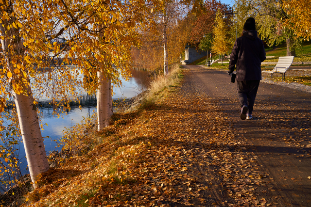 sony_fe_35_f1 8_9w.jpg