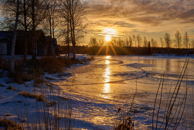 voigtländer lanthar 50 f2_16w.jpg