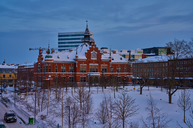 Sigma 65mm f2_20w.jpg