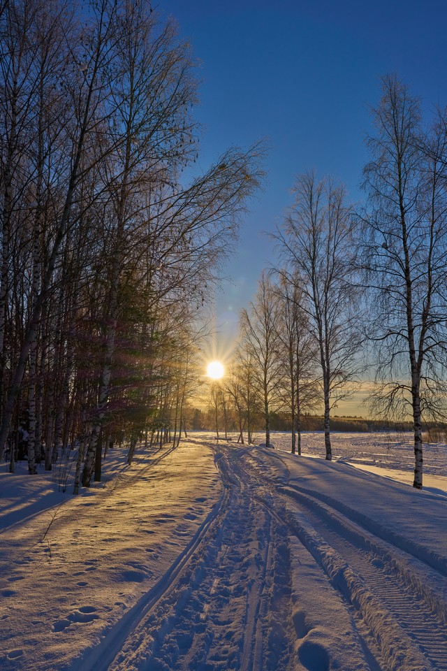 Sony FE 20-70mm f4_29w.jpg