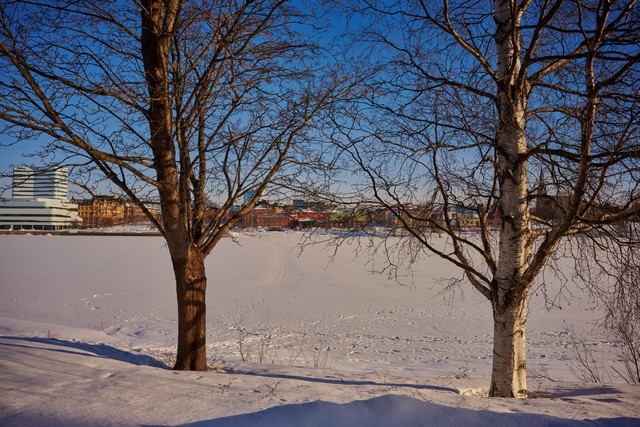 Nikon Z 26mm f2.8_8w.jpg