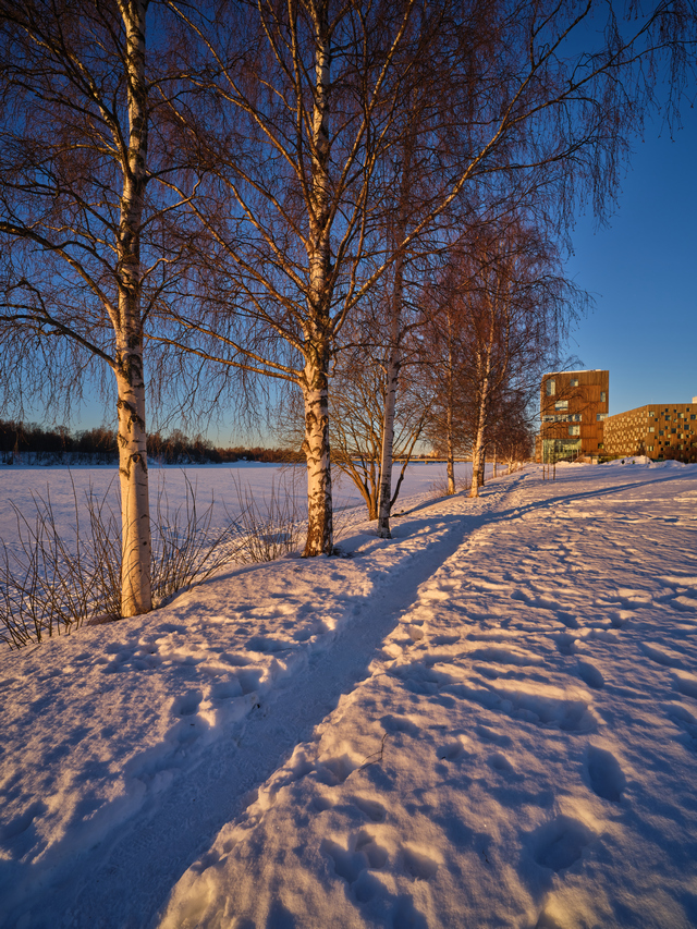 Laowa 19mm f2.8_10w.jpg