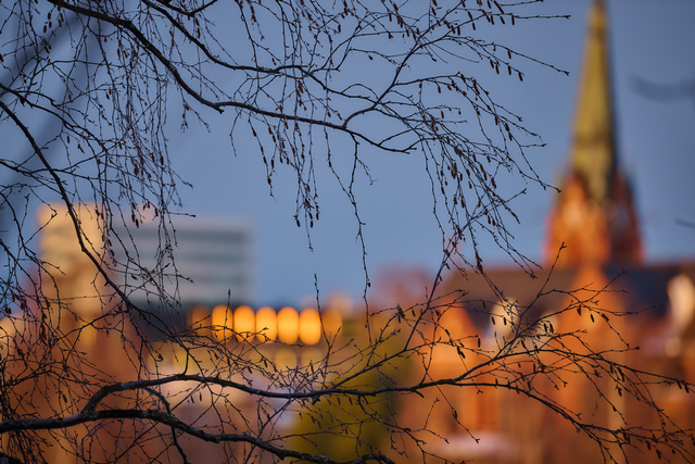 Nikon Z 100_400mm_3w.jpg