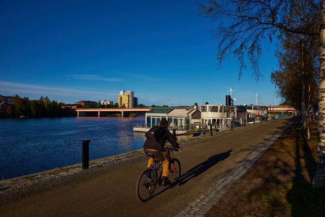 Nikon Z 24-200_13w.jpg