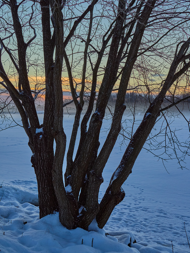 OM System 20mm f1.4_14w.jpg