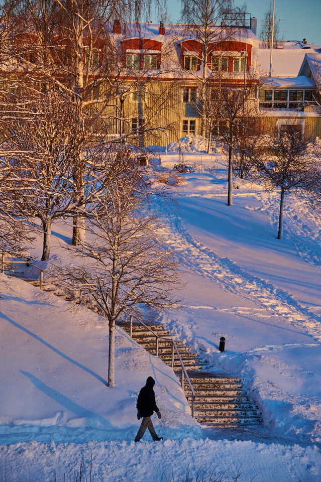 Nikon Z 18-140mm_22w.jpg