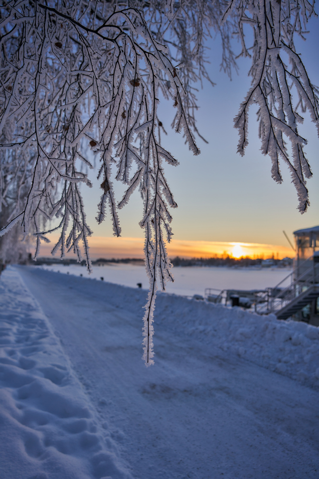 Tamron 20-40mm_9w.jpg