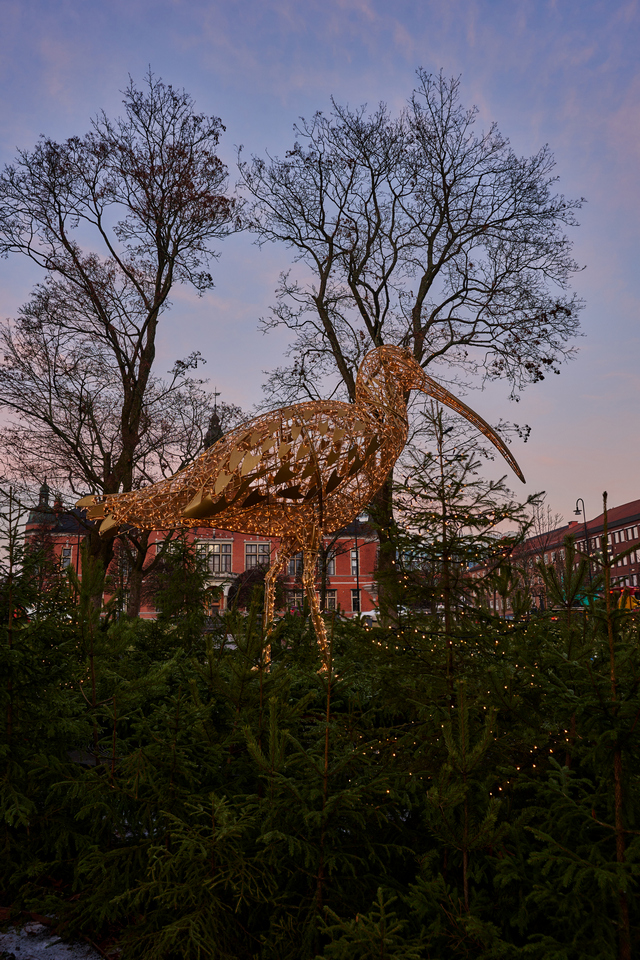 Nikon Z 17-28 f2.8_36w.jpg