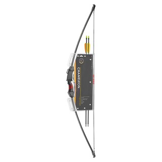 Chameleon Recurve pilbåge