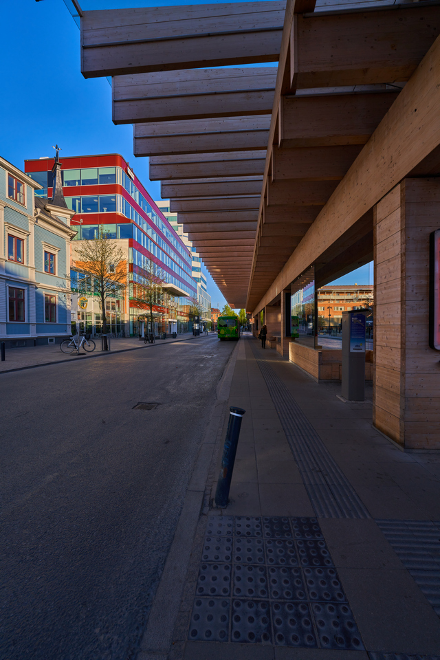 Sony 14mm f1.8_5w.jpg