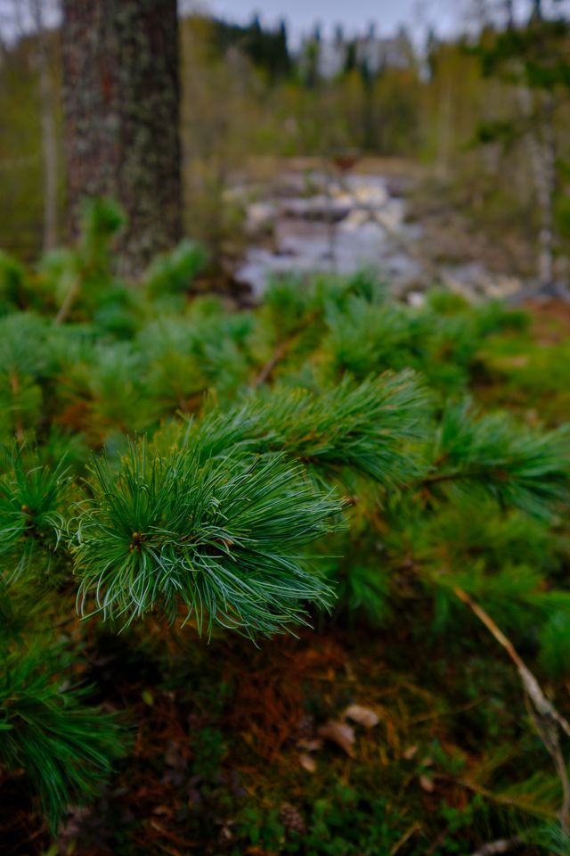 Fujfilm X-E4_17w.jpg