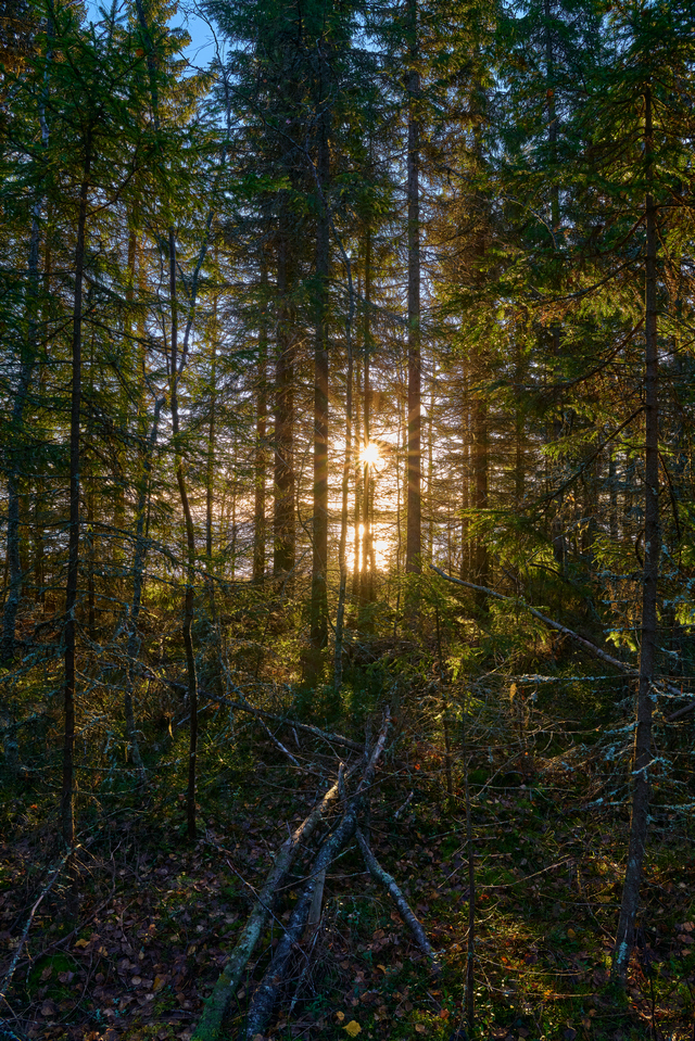 Panasonic 24mm f1.8_5w.jpg