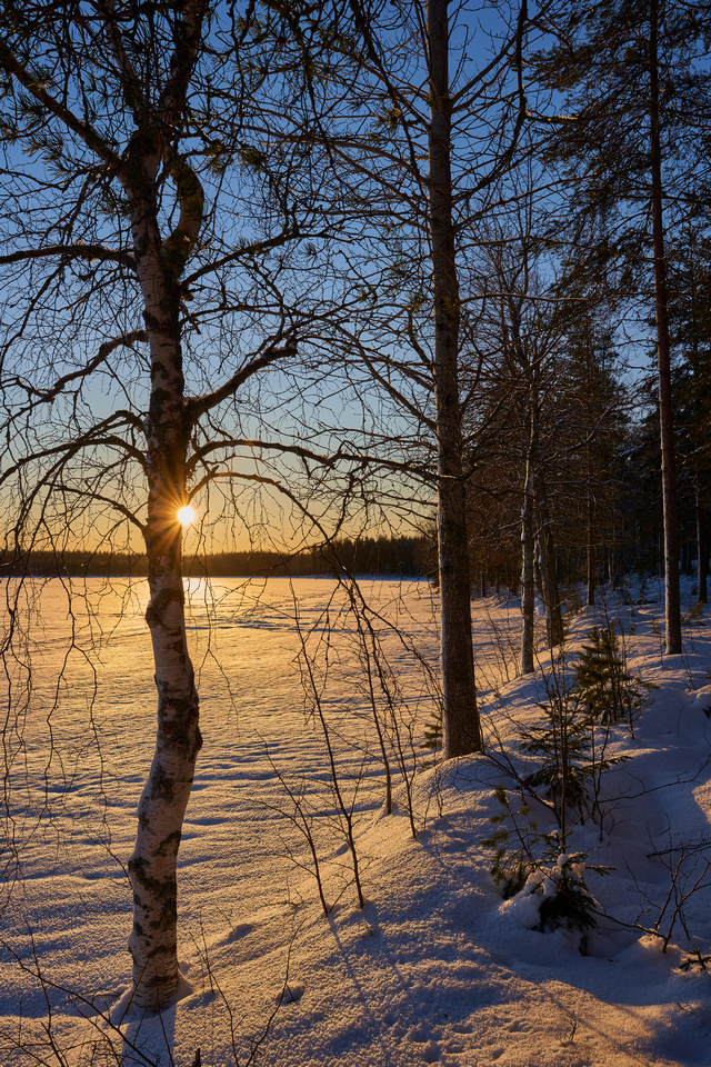 sigma 24-70 art sony_11w.jpg