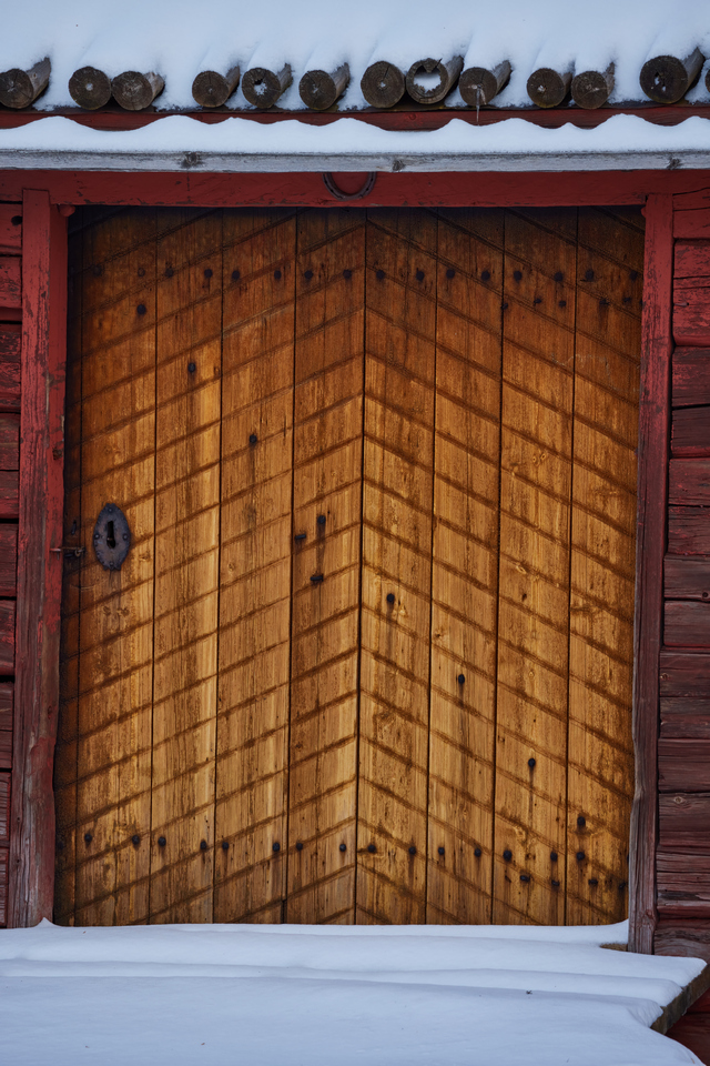 Canon RF 100-400mm_3w.jpg