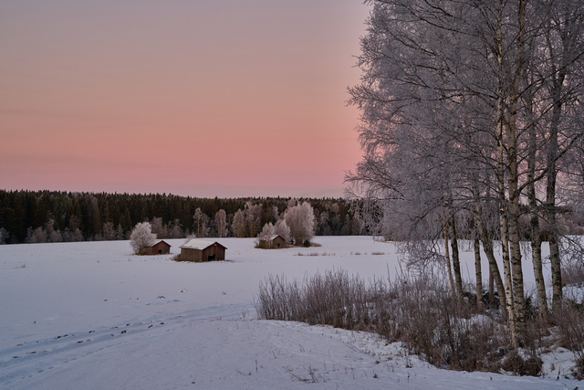 Nikon Z 24-120mm_38w.jpg