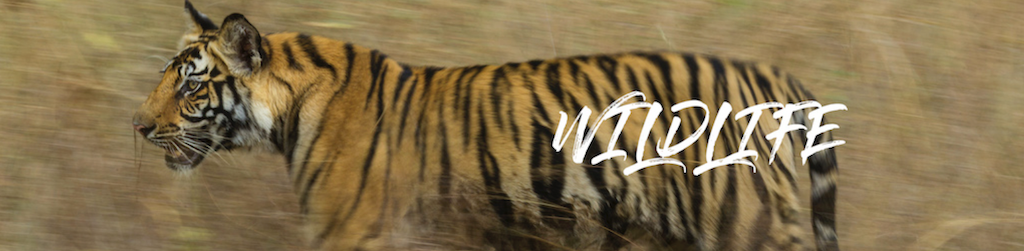 Skärmavbild 2021-10-15 kl. 12.10.09.png