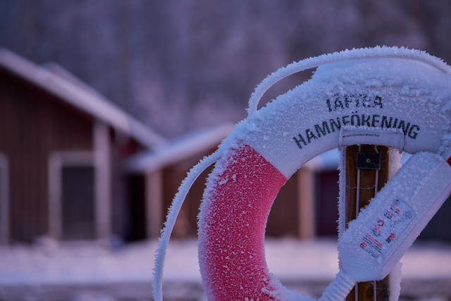 Sigma 100-400mm_17w.jpg