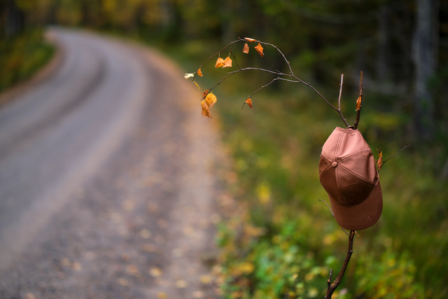 Fujifilm XF 56mm f1.2 WR_15w.jpg