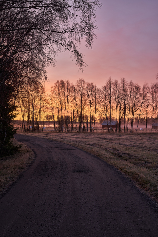 Samyang 50mm f1.4 II_26w.jpg