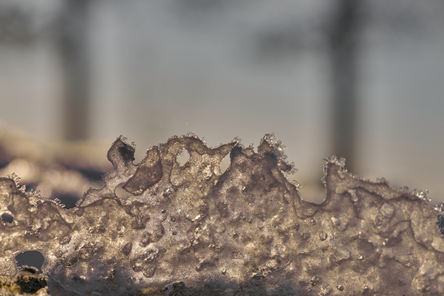 laowa 65 f2,8 macro_12w.jpg