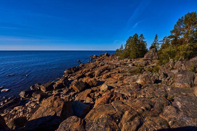 Sony 14mm f1.8_16w.jpg