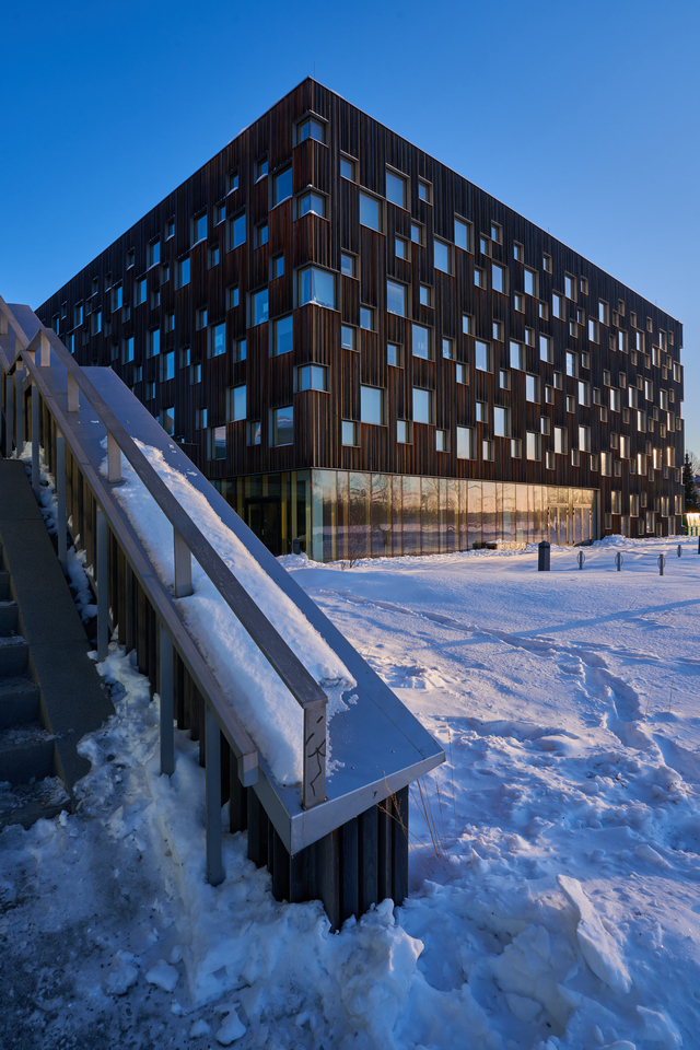 Sigma 20mm f2 DN_6w.jpg