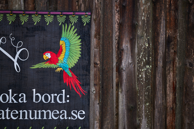 Canon RF_70200_f28_24w.jpg