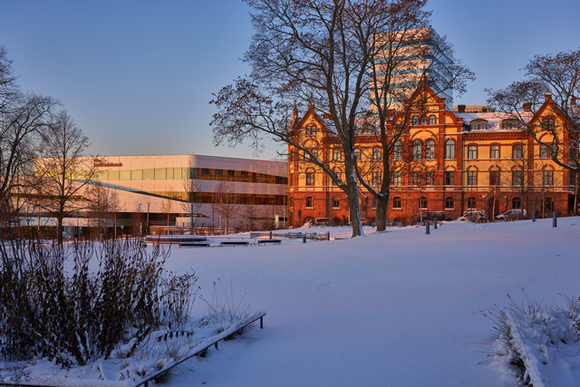 tamron 35 2.8 sony e_18w.jpg