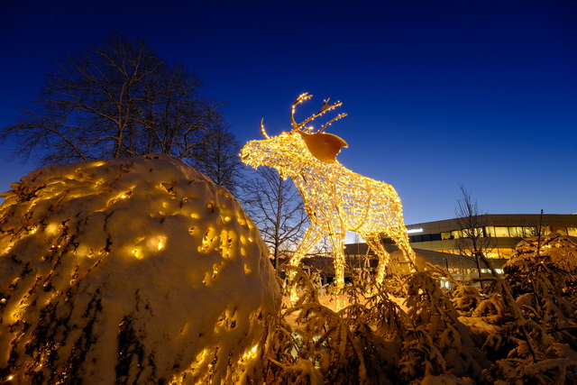 Fujifilm X S10_4w.jpg