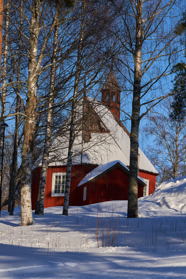 Samyang 135mm f1.8_15w.jpg