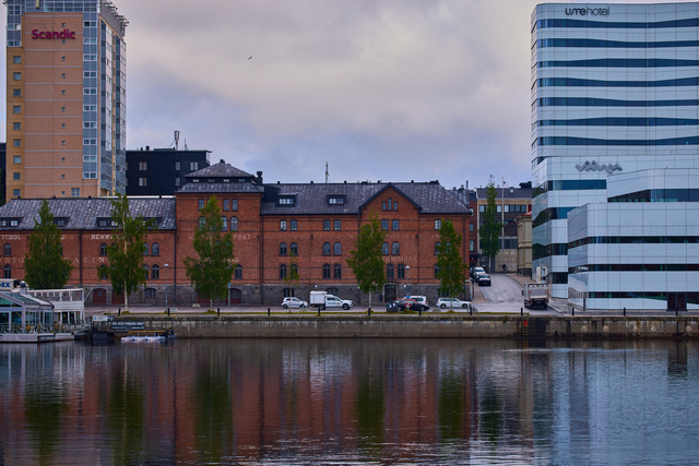 Canon RF 100 macro_23w.jpg